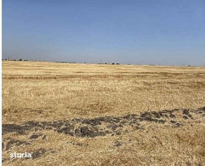 Teren de 16700 mp, în Fântânele