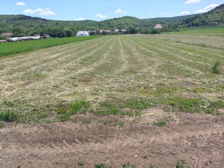 Teren Construcții intravilan de 3024 mp, în Totoi