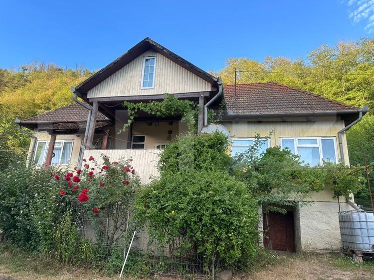 Casă individuală cu 3 camere cu Teren 10900 Mp în Căinelu de Sus