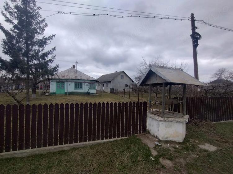 Casă cu Teren 3976 Mp în Dumbrăvița