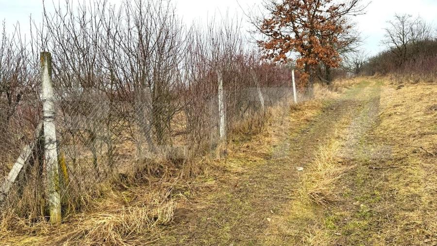 Teren Construcții extravilan de 2900 mp, în Sud-Vest