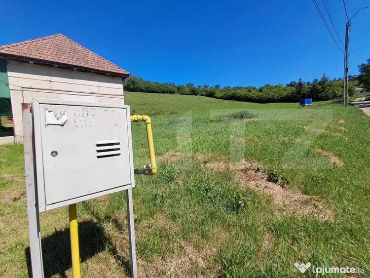 Oportunitate Investi?ie: Teren Intravilan 9600 MP in Zona - 2