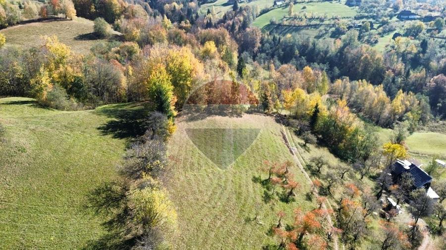 Teren agricol intravilan de 3000 mp, în Sohodol