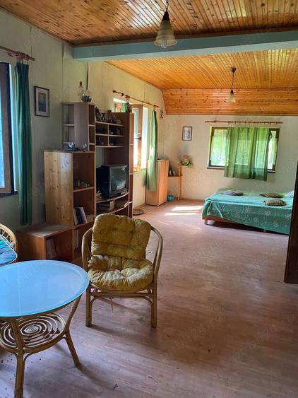 Casă cu 5 camere cu Teren 3438 Mp în Avram Iancu (Vârfurile)