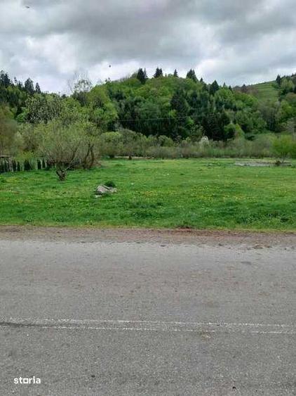 Teren de 13300 mp, în Săcuieu