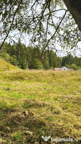 Teren de 4080 mp, în Valea Doftanei
