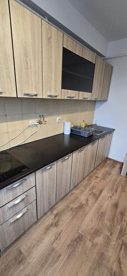 Apartament cu 2 camere decomandat, mobilat în Iosefin