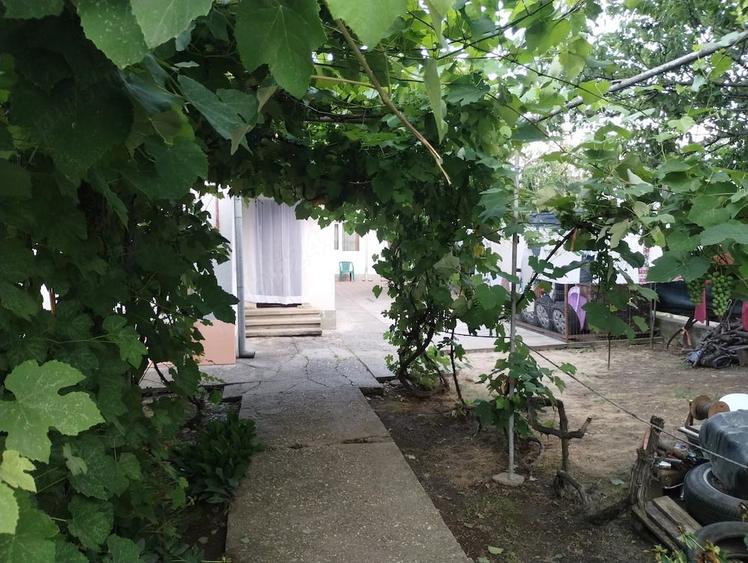 Casă cu 3 camere cu Teren 345 Mp în Nord