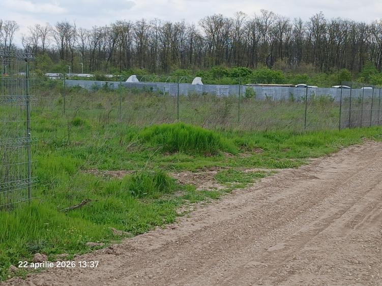 Teren Construcții intravilan de 900 mp, în Cernica