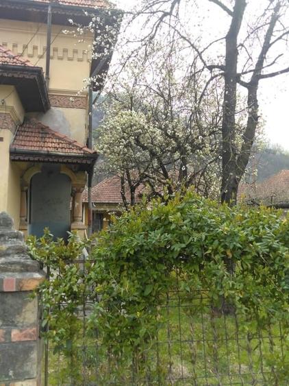 Casă cu 5 camere cu Teren 7817 Mp în Cetățeni