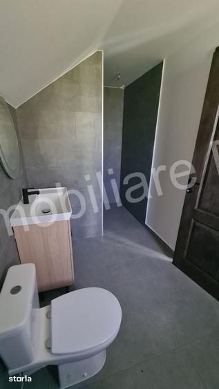 Casă cu 4 camere cu Teren 2435 Mp în Arefu