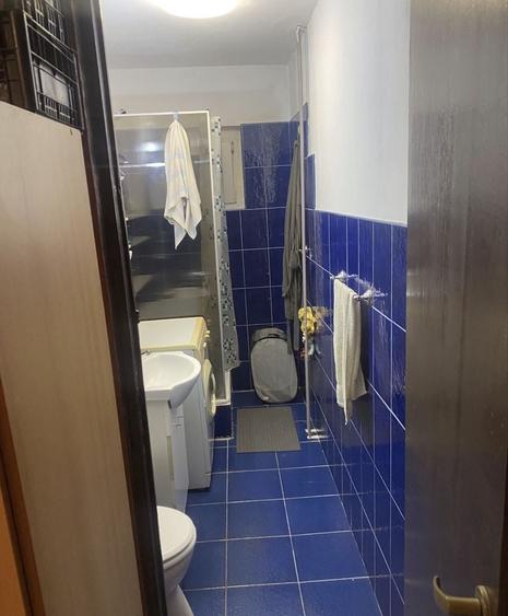 Garsonieră în Buziașului