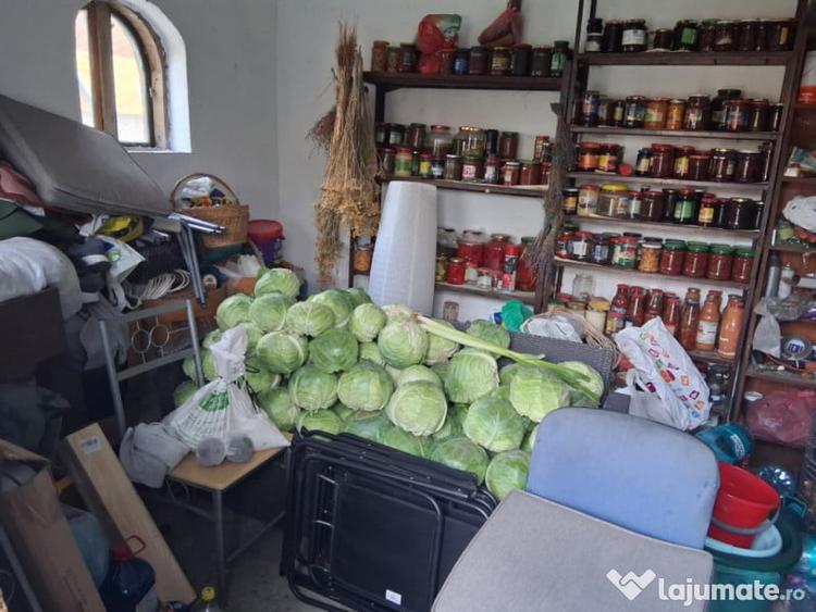 Casă cu 7 camere cu Teren 863 Mp în Brestei