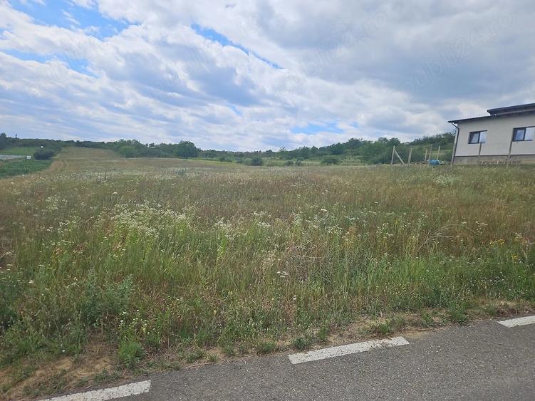 Teren de 500 mp, în Crișeni
