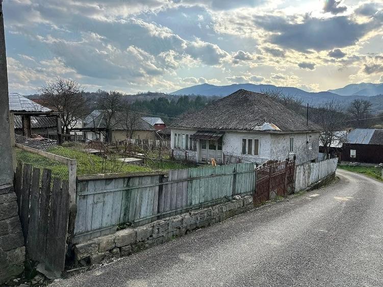 Teren de 1000 mp, în Hăulișca