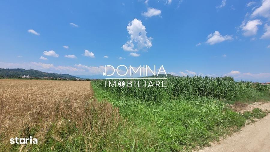 Teren de 3504 mp, în Bălești