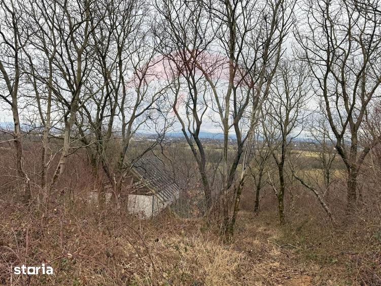 Teren de 2900 mp, în Tăuții-Măgherăuș