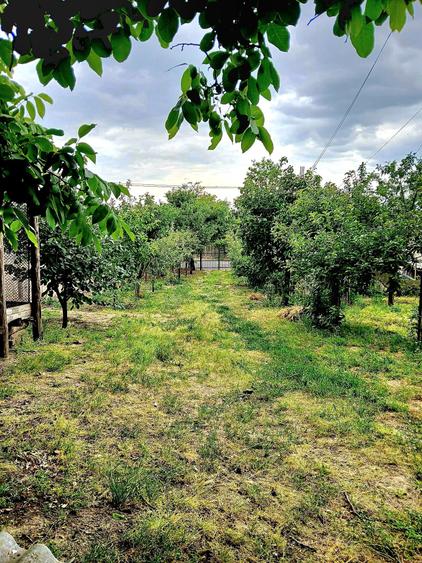 Casă individuală cu 5 camere cu Teren 4260 Mp în Seimeni
