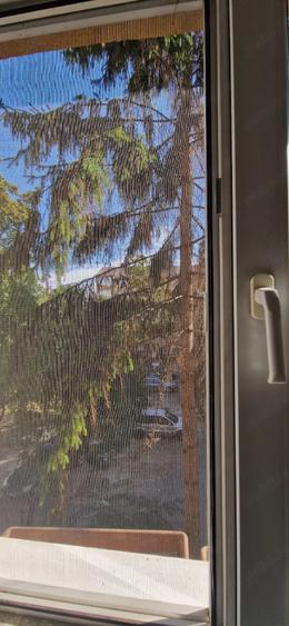 Apartament 2 camere, zona ?agului - 1