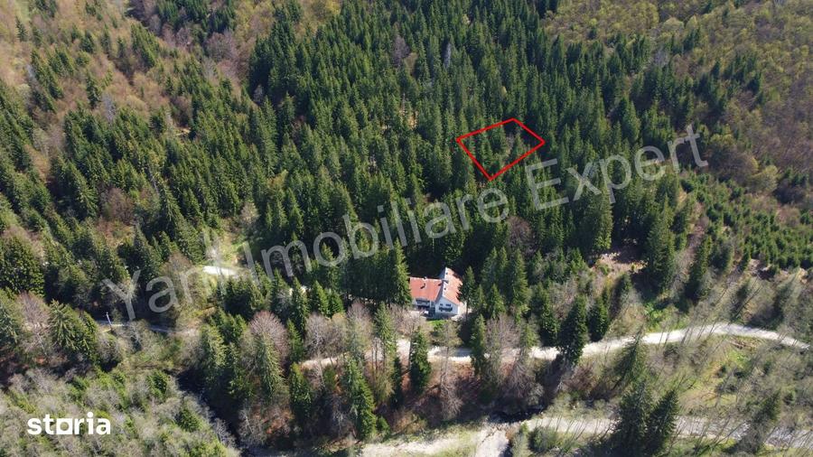 Teren de 983 mp, în Nucșoara