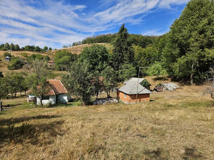 Casă cu 2 camere în Damiș