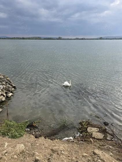 Teren de 719 mp, în Pojejena