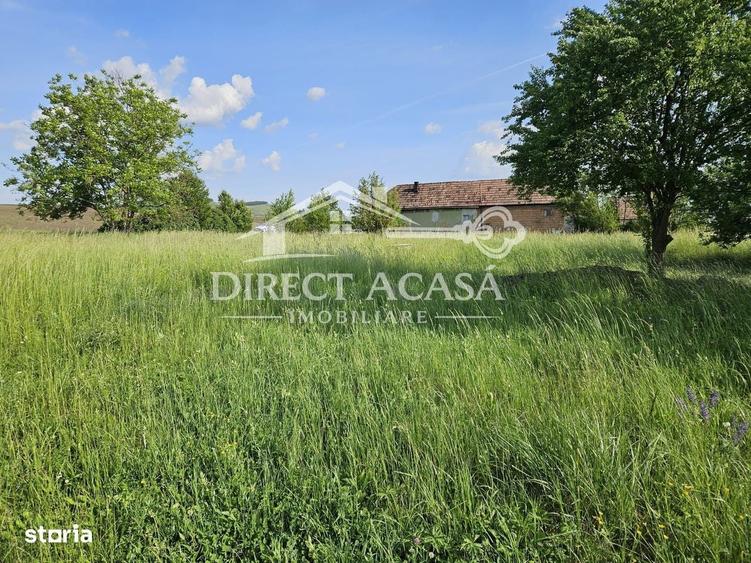 Spațiu comercial, în Ernei