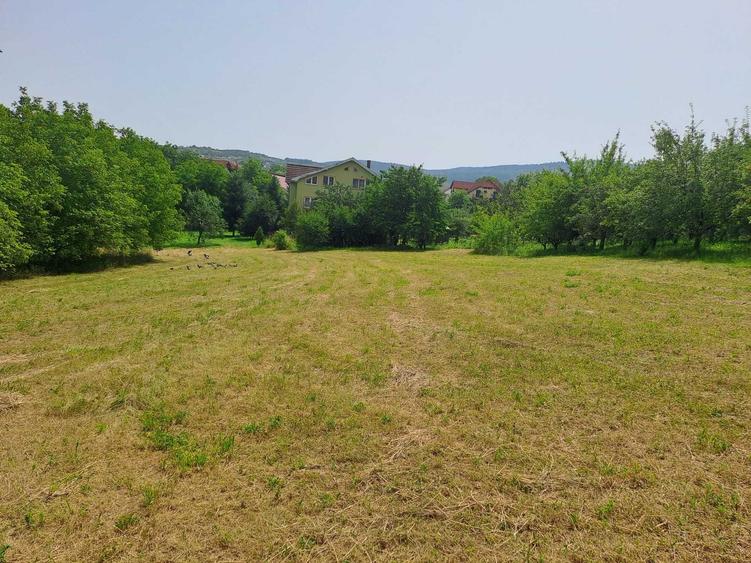 Teren de 4295 mp, în Stana