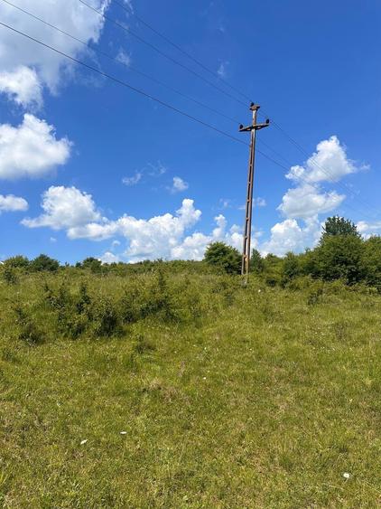 Teren extravilan de 54500 mp, în Lovnic