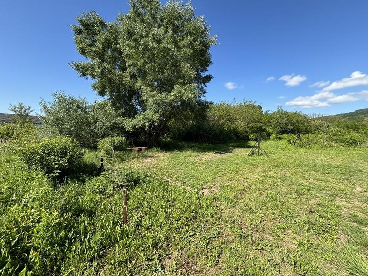 Teren Construcții intravilan de 2170 mp, în Bujoreni