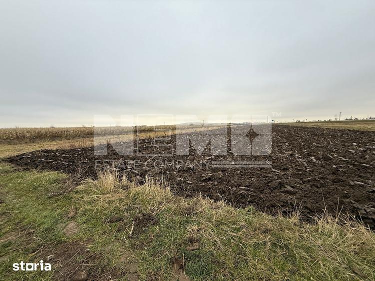 Parcela teren agricol 50 Ari - 2