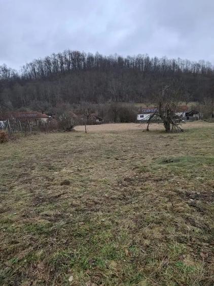 Teren de 3140 mp, în Petriș
