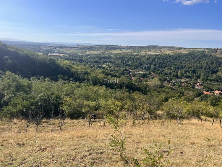 Vand teren Geoagiu de sus