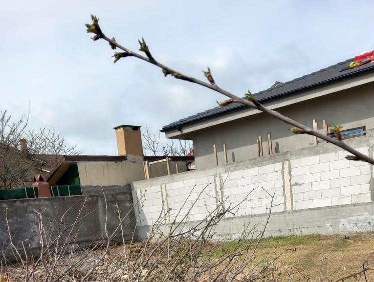 Teren Construcții intravilan de 200 mp, în Tomis Nord