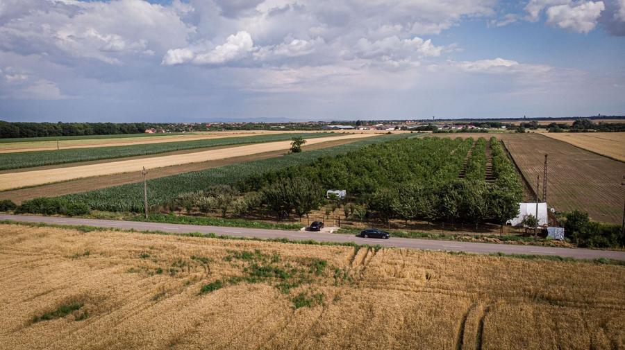 Teren agricol extravilan de 25000 mp, în Macea
