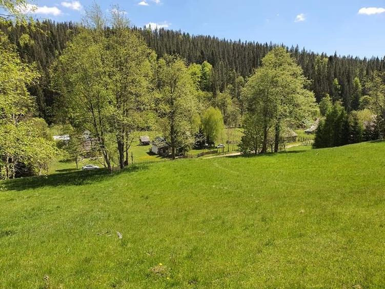 Teren Construcții intravilan de 7800 mp, în Măneciu
