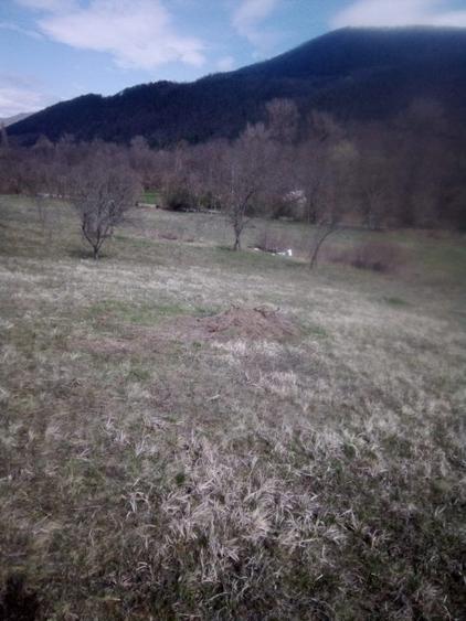 Teren agricol extravilan de 27500 mp, în Geoagiu-Băi