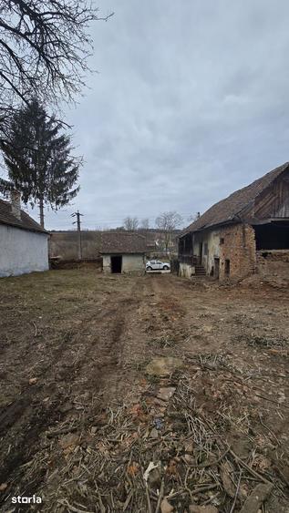 Teren de 1115 mp, în Bârghiș