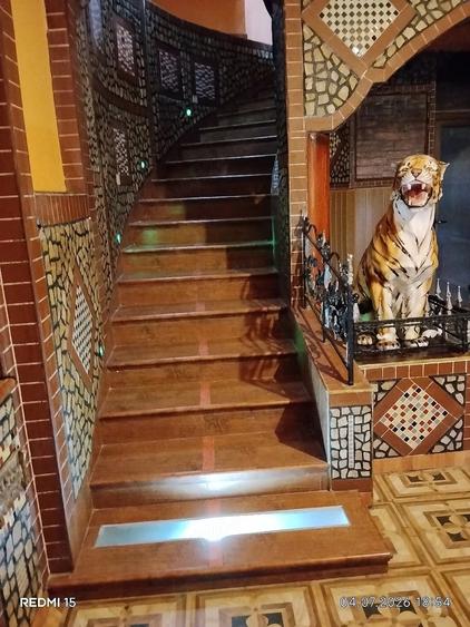 Casă cu Teren 1780 Mp în Becicherecu Mic