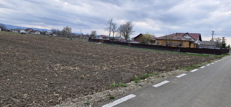 Teren de 2500 mp, în Vadu Moldovei