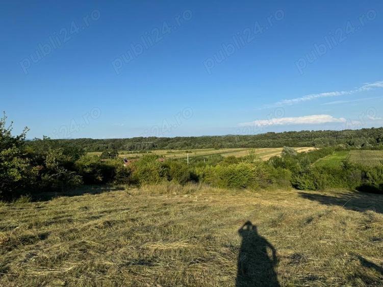 Teren de 20000 mp, în Laloșu