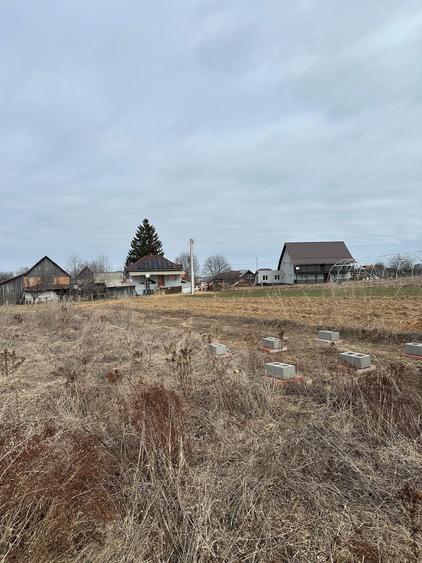 Teren agricol extravilan de 3932 mp, în Râșca