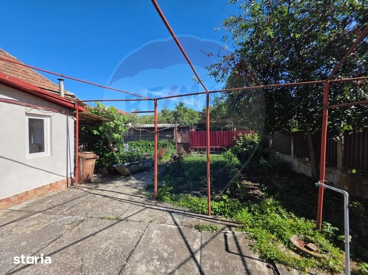Casa ingrijita cu curte frumoasa | Tarnaveni Bozias - 20