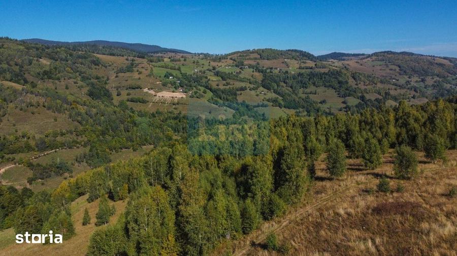 Teren de 1000 mp, în Băișoara
