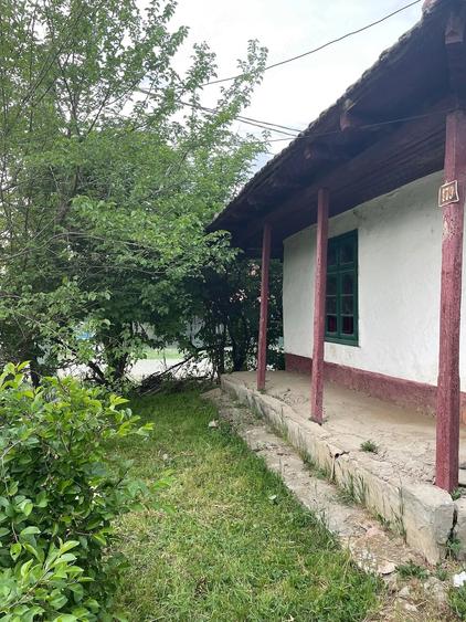 Teren de 1183 mp, în Surlari