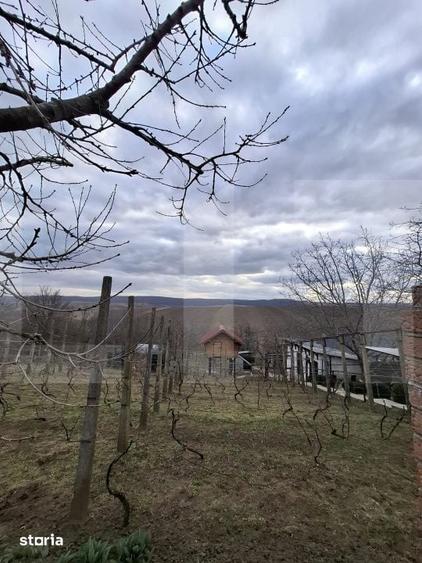 Teren de 17300 mp, în Mihai Eminescu