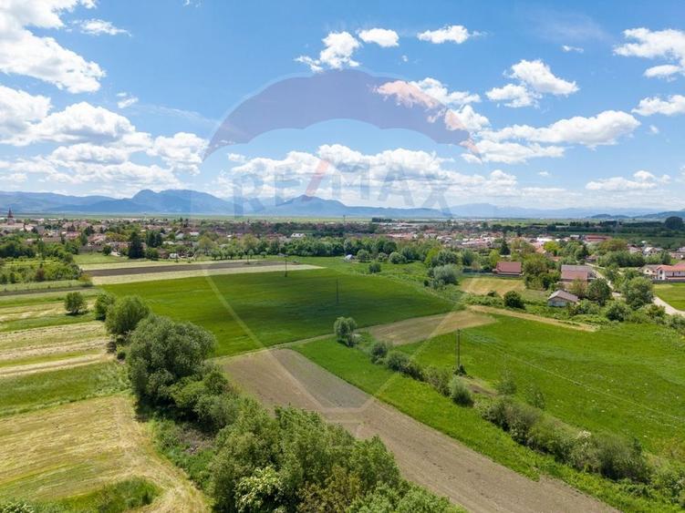 Teren agricol extravilan de 25100 mp, în Prejmer