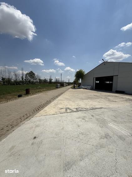 Spațiu comercial, de 30,000 mp, în Ghimpați
