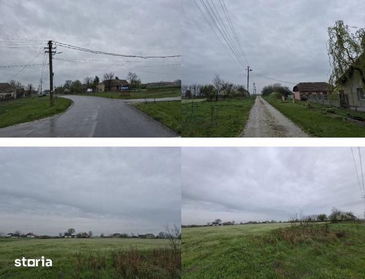 Teren intravilan com. Banloc, jud. Timis - 6