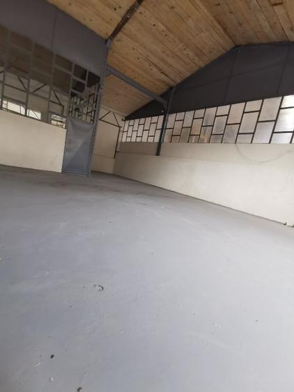 Spațiu industrial, 100 mp în Orzoaia de Jos